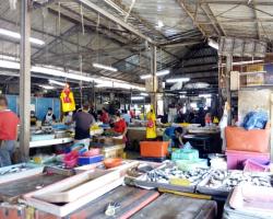 OPERASI PEMERIKSAAN SUHU & PEMATUHAN JARAK SOSIAL