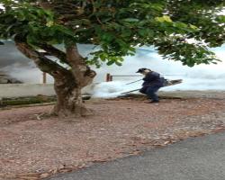 AKTIVITI KAWALAN DEMAM DENGGI