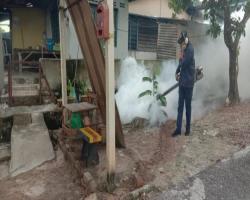 AKTIVITI KAWALAN DEMAM DENGGI