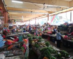 OPERASI PEMERIKSAAN SUHU & PEMATUHAN JARAK SOSIAL