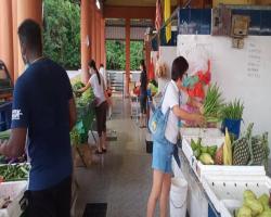 OPERASI PEMERIKSAAN SUHU & PEMATUHAN JARAK SOSIAL