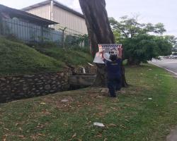 KERJA-KERJA MENURUNKAN POSTER BUNTING BANNER HARAM & TAMAT TEMPOH