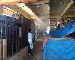 DISINFEKSI KAWALAN NOVEL CORONAVIRUS COVID -19