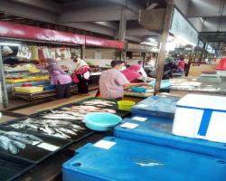 PEMANTAUAN PASAR MILIK MBS