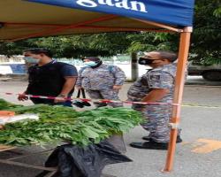 PEMANTAUAN PASAR TANI