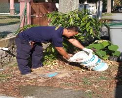 AKTIVITI KAWALAN DEMAM DENGGI DALAM KAWASAN MBS