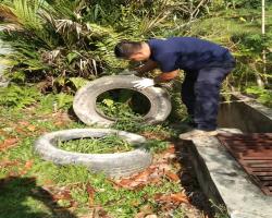 AKTIVITI KAWALAN DEMAM DENGGI DALAM KAWASAN MBS