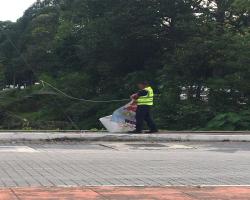 KERJA-KERJA MENURUNKAN POSTER, BUNTING, BANNER HARAM & TAMAT TEMPOH