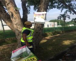 KERJA-KERJA MENURUNKAN POSTER, BUNTING, BANNER HARAM & TAMAT TEMPOH