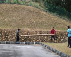 LAWATAN TURUN PADANG DATO BANDAR