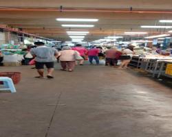 PEMANTAUAN PASAR MALAM DALAM KAWASAN MBS