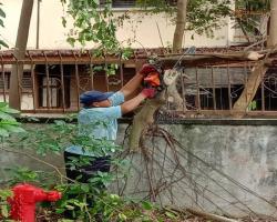 KERJA-KERJA PEMBERSIHAN DI LOKASI TAMAN BAN AIK