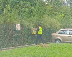 KERJA-KERJA MENURUNKAN POSTER, BUNTING, BANNER HARAM & TAMAT TEMPOH