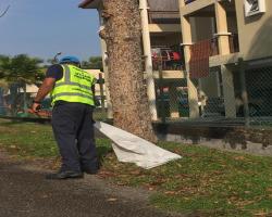 KERJA-KERJA MENURUNKAN POSTER, BUNTING, BANNER HARAM & TAMAT TEMPOH