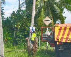 Sekitar kerja-kerja menurunkan poster, bunting, banner haram dan tempoh yang dijalankan oleh Jabatan Pembersihan & Kesihatan Persekitaran MBS di lokasi seperti berikut:  Kawasan : 1) Jalan Tok Dagang, Seremban 2) Taman Telawi, Seremban 3) Taman Ampangan, Seremban 4) Jalan Seremban - Kuala Pilah Jumlah yang diturunkan : 1) Banner = 8 2) Bunting = 3 3) Iklan haram= 50