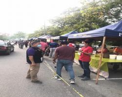 PEMANTAUAN PASAR TANI