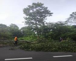 PEMANTAUAN PASAR MALAM DALAM KAWASAN MBS