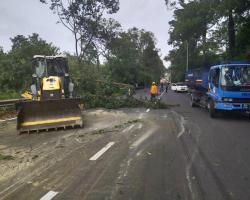 PEMANTAUAN PASAR MALAM DALAM KAWASAN MBS