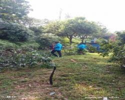 KERJA-KERJA PEMBERSIHAN