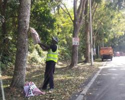 KERJA-KERJA MENURUNKAN POSTER, BUNTING, BANNER HARAM & TAMAT TEMPOH