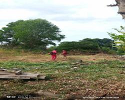 KERJA-KERJA PEMBERSIHAN