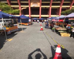 PEMANTAUAN PASAR TANI  DALAM KAWASAN MBS