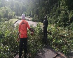 KERJA-KERJA PEMBERSIHAN