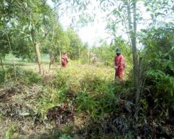 KERJA-KERJA PEMBERSIHAN