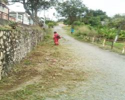 KERJA-KERJA PEMOTONGAN RUMPUT