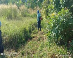 KERJA-KERJA PEMBERSIHAN 
