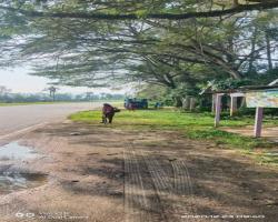 KERJA-KERJA PEMBERSIHAN 