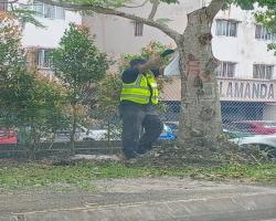 KERJA-KERJA MENURUNKAN POSTER, BUNTING, BANNER HARAM & TAMAT TEMPOH