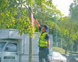 KERJA-KERJA MENURUNKAN POSTER, BUNTING, BANNER HARAM & TAMAT TEMPOH