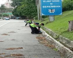 KERJA-KERJA PEMBERSIHAN
