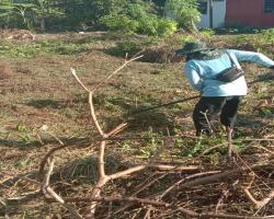 KERJA KERJA PEMBERSIHAN