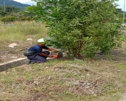 KERJA-KERJA PEMBERSIHAN