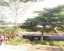 PENAMBAHBAIKAN TAMAN ORKID