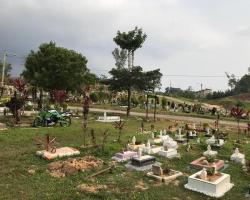 LAWATAN DATUK BANDAR