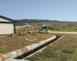 KERJA PENYELENGGARAAN RUMPUT