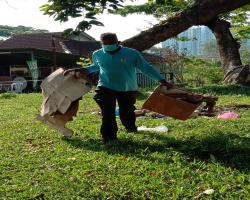 KERJA KERJA PEMBERSIHAN