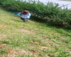 KERJA PENYELENGGARAAN RUMPUT