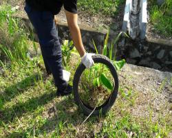 KERJA-KERJA LARVACIDING DAN SOURCE REDUCTION 