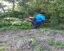 KERJA KERJA PEMBERSIHAN