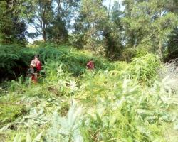 KERJA KERJA PEMBERSIHAN