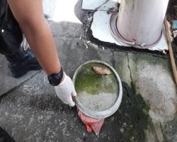 KERJA-KERJA KAWALAN VEKTOR