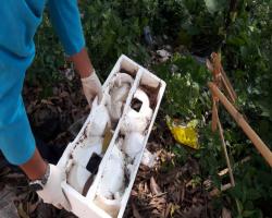 KERJA-KERJA KAWALAN VEKTOR