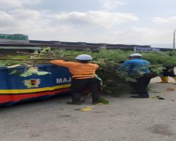 KERJA KERJA PEMBERSIHAN 