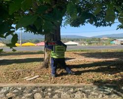KERJA-KERJA MENURUNKAN POSTER, BUNTING, BANNER HARAM & TAMAT TEMPOH