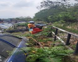 KERJA KERJA PEMBERSIHAN 