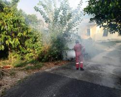 AKTIVITI KAWALAN DEMAM DENGGI DALAM KAWASAN MBS